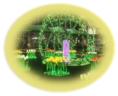 この時期恒例のイルミネーション!